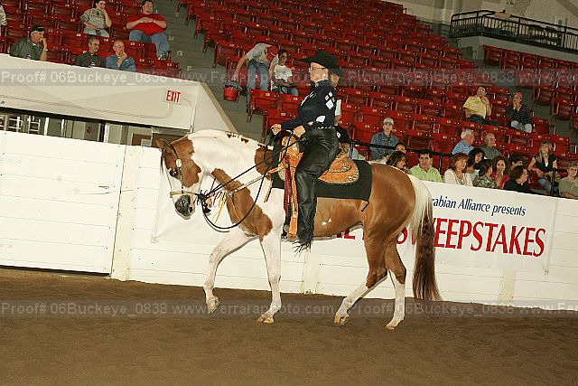 Proof 06buckeye_0838