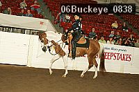 06buckeye_0838 proof