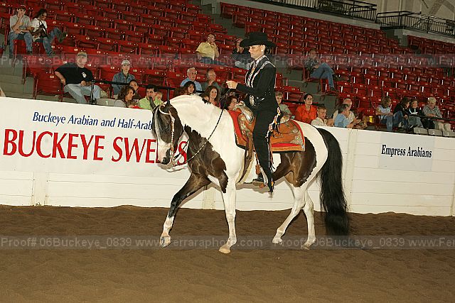 Proof 06buckeye_0839