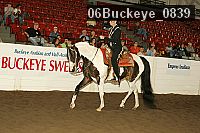 06buckeye_0839 proof