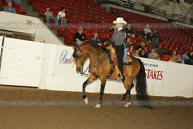 Proof 06buckeye_0840