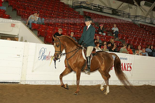 Proof 06buckeye_0842