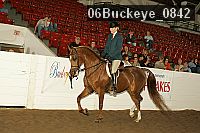 06buckeye_0842 proof