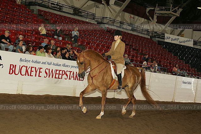 Proof 06buckeye_0844