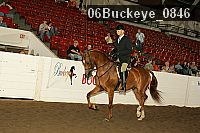 06buckeye_0846 proof