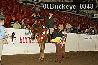 06buckeye_0848 proof