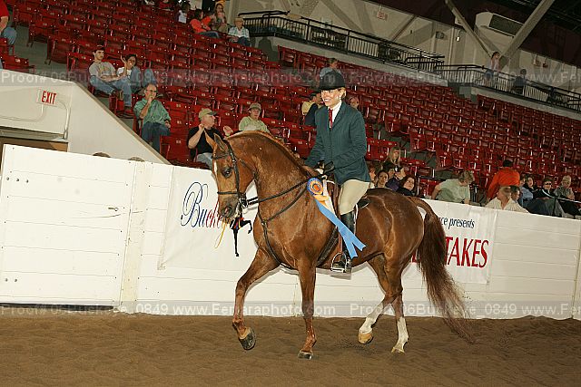 Proof 06buckeye_0849