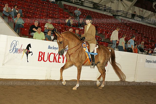 Proof 06buckeye_0850