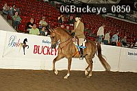 06buckeye_0850 proof