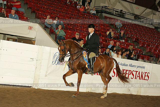Proof 06buckeye_0851