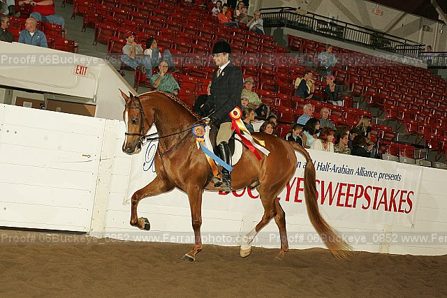Proof 06buckeye_0852