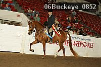 06buckeye_0852 proof