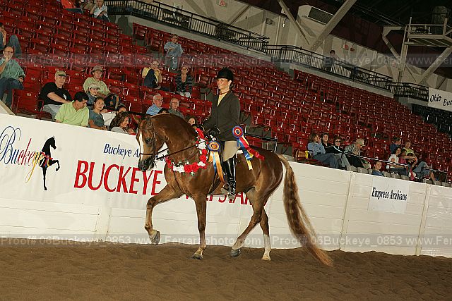 Proof 06buckeye_0853