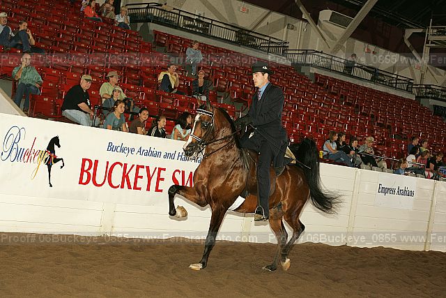 Proof 06buckeye_0855