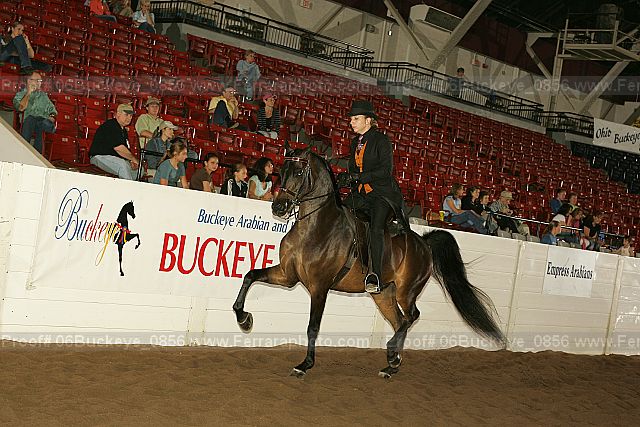Proof 06buckeye_0856