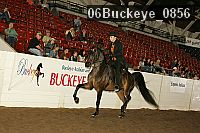 06buckeye_0856 proof