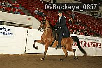 06buckeye_0857 proof