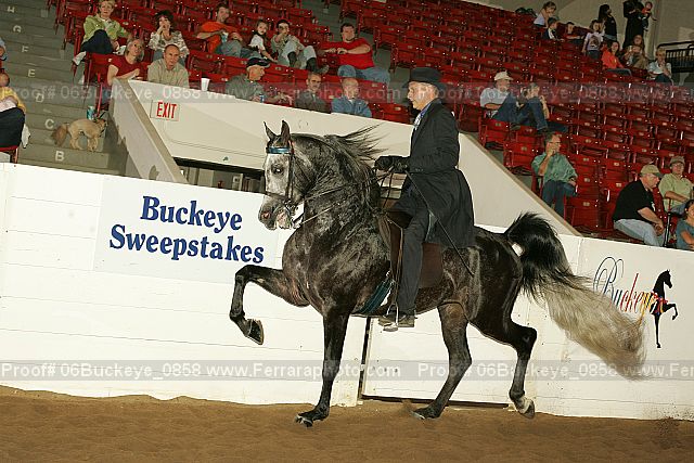 Proof 06buckeye_0858