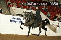 06buckeye_0858 proof