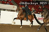06buckeye_0859 proof