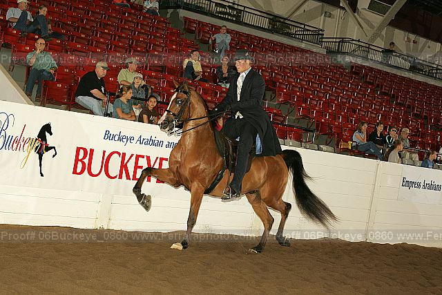 Proof 06buckeye_0860