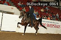 06buckeye_0861 proof