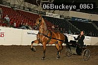 06buckeye_0863 proof
