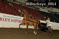 06buckeye_0864 proof