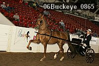 06buckeye_0865 proof