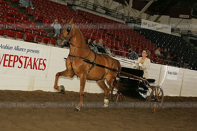 Proof 06buckeye_0866