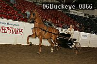 06buckeye_0866 proof