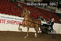 06buckeye_0867 proof