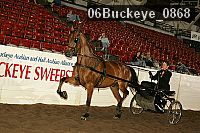 06buckeye_0868 proof