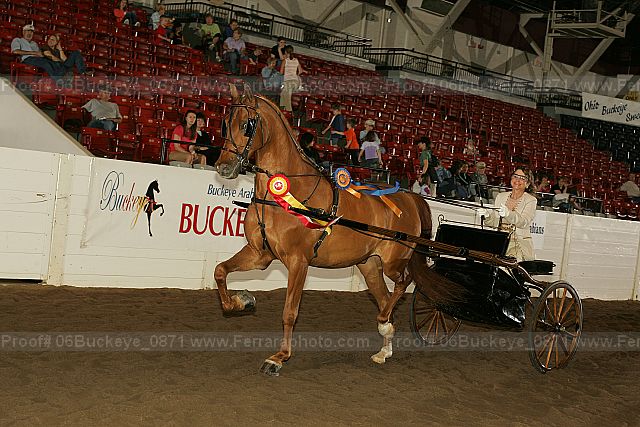 Proof 06buckeye_0871