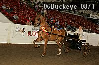 06buckeye_0871 proof