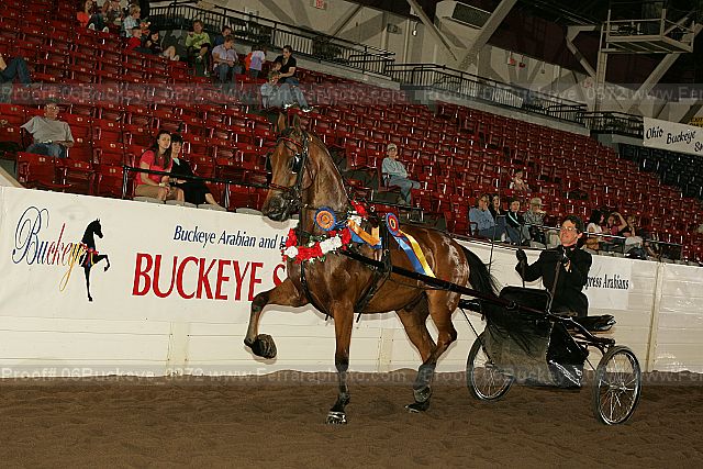 Proof 06buckeye_0872