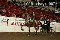 06buckeye_0872 proof