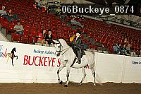 06buckeye_0874 proof