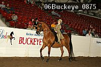 06buckeye_0875 proof