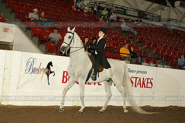 Proof 06buckeye_0877
