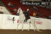 06buckeye_0877 proof