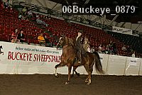 06buckeye_0879 proof