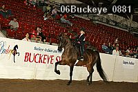 06buckeye_0881 proof