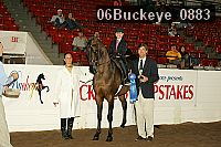 06buckeye_0883 proof