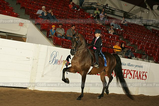 Proof 06buckeye_0885