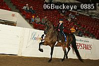 06buckeye_0885 proof