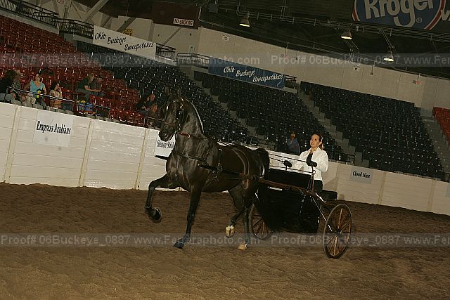 Proof 06buckeye_0887