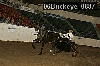 06buckeye_0887 proof