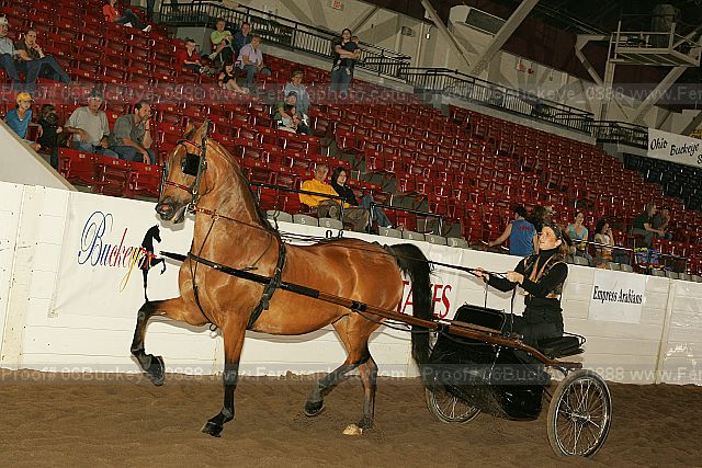 Proof 06buckeye_0888