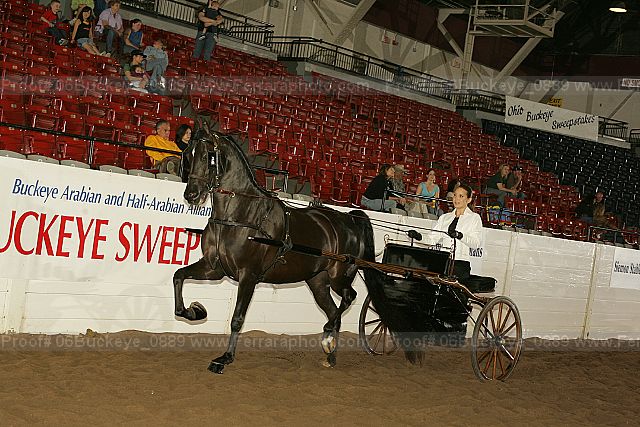 Proof 06buckeye_0889